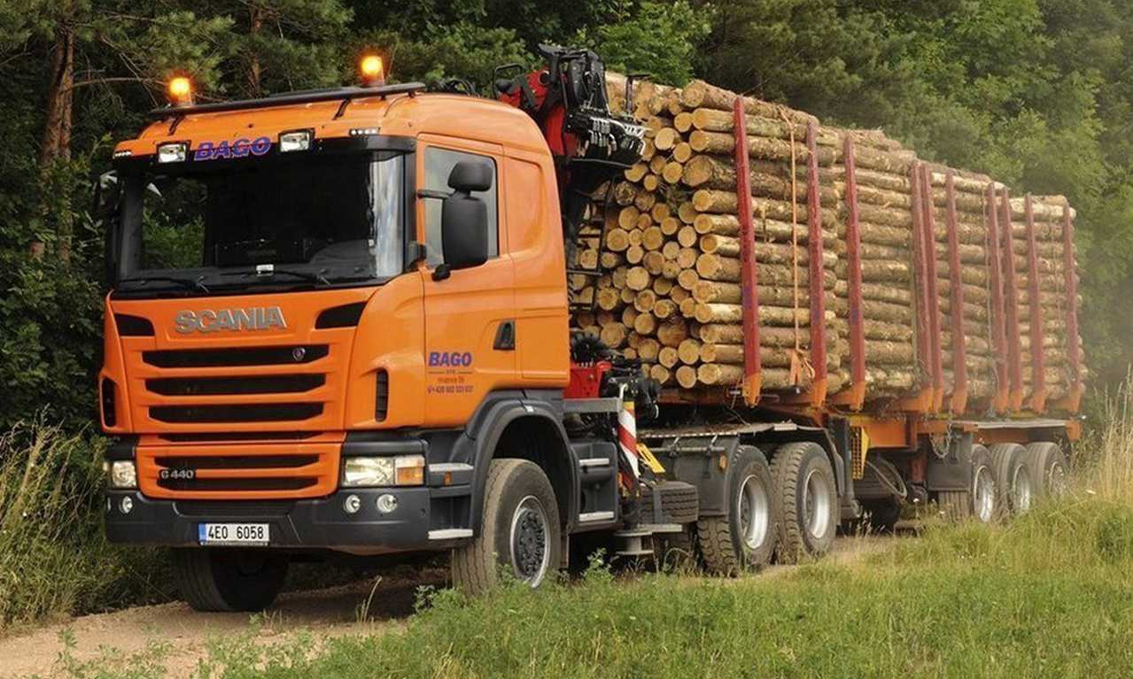 Сортиментовозы и лесовозы: анатомия специализированной техники и её эволюция