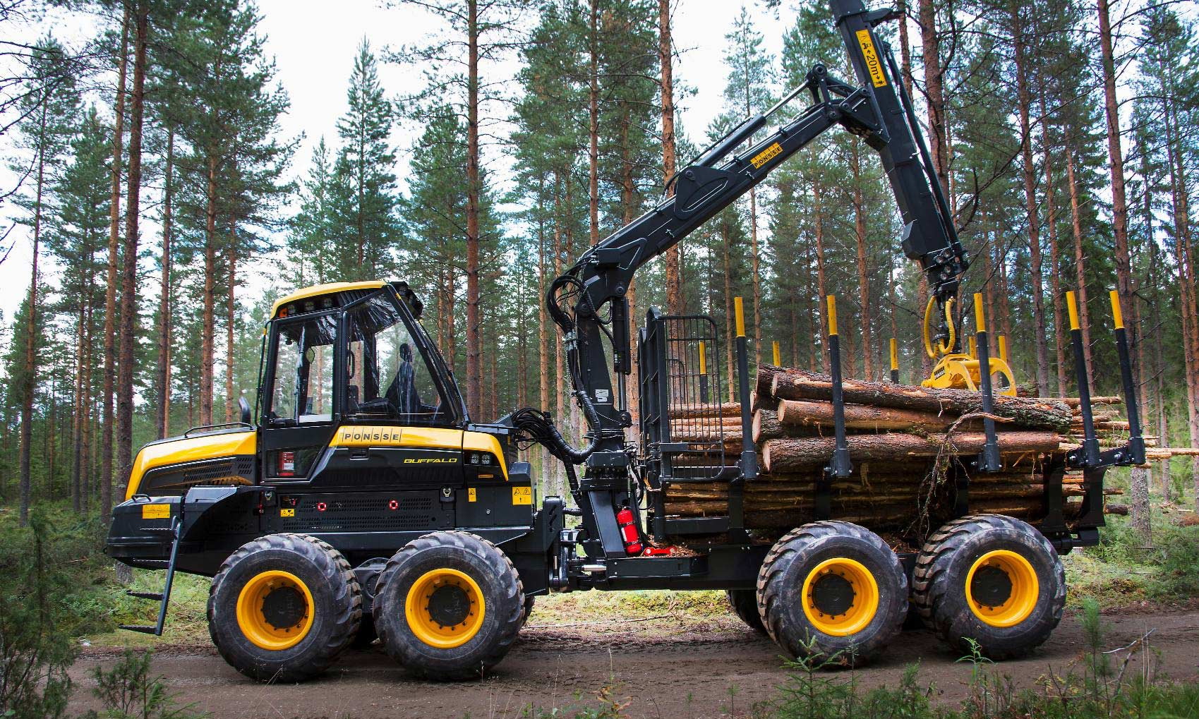 Скиддер и форвардер: философия лесной трелёвки
