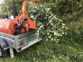 Измельчители веток, древесных отходов Bosh DH-50, Москва