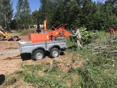 Измельчители веток, древесных отходов Bosh DH-50, Москва