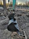 Гусеничные мини-экскаваторы Komatsu PC30-7E