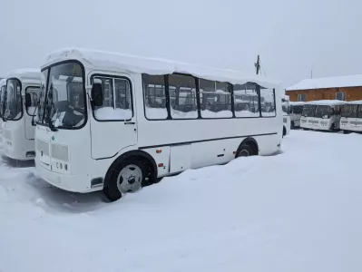 Автобусы ПАЗ 320530-22, Воронеж