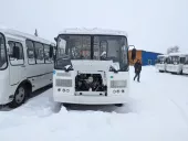 Автобусы ПАЗ 320530-22, Воронеж