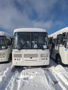 Автобусы ПАЗ 4234-04, Воронеж