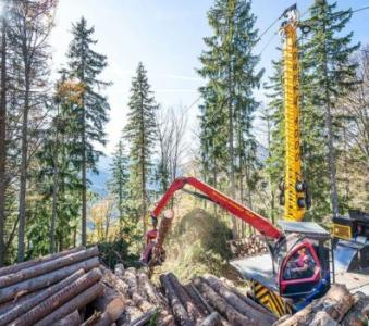 Харвестеры колесные горные KONRAD Forsttechnik  MOUNTY MT30-2, Санкт-Петербург