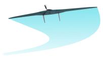 БПЛА с неподвижным крылом АЛЬБАТРОС M5