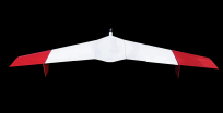 БПЛА с неподвижным крылом AEROMAX Д 12