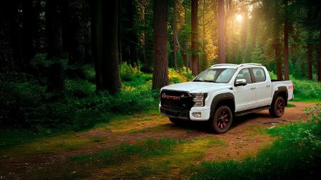 FOTON TUNLAND G9 pickups