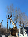 Строительные услуги в 