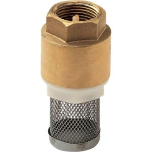 Клапан обратный с фильтром 1/2" F, Remer RR381
